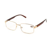 Vision glasses Verse 24027 men