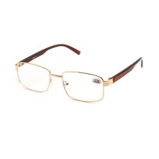 Vision glasses Verse 24027 men